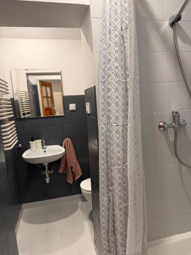 a bathroom with a shower curtain and a sink at Dzikie Fiołki in Karpacz