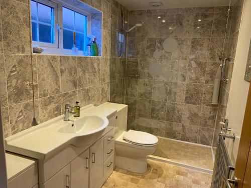 a bathroom with a sink and a toilet and a shower at The Bothy in Lyndhurst