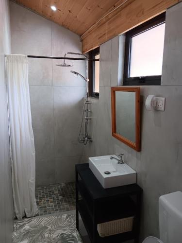 a bathroom with a sink and a shower at Acacia Retreat in Île La Fond