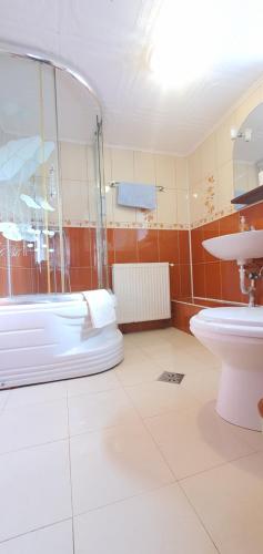 a bathroom with a shower and a toilet and a sink at Vila Dascalita in Moieciu de Sus