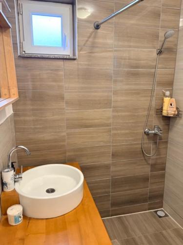 a bathroom with a sink and a shower at Villa Rustica in Šišava