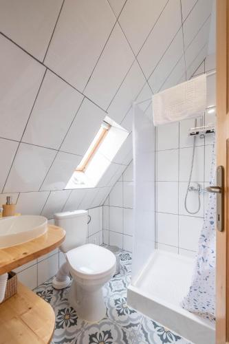 a bathroom with a toilet and a sink and a shower at Casa Vlădușca in Peştera