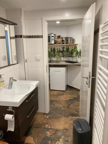 a bathroom with a sink and a toilet and a counter at Therapiescheune Egsdorf - Monteurwohnungen in Egsdorf