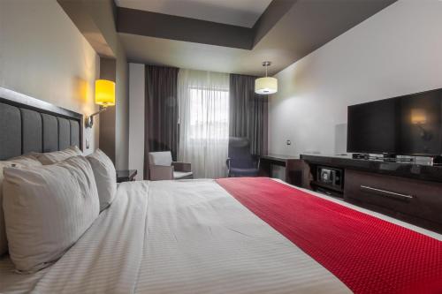Best Western Plus Santa Cecilia Pachuca — Bedroom