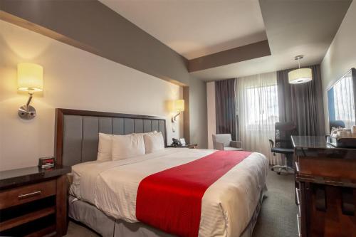 Best Western Plus Santa Cecilia Pachuca — Bedroom