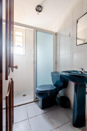 a bathroom with a blue toilet and a sink at Near Everything and Some Art in Mexico City