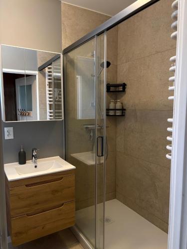 a bathroom with a shower and a sink at Rodzinna Przystań in Białystok