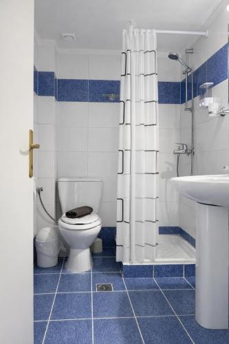 a blue and white bathroom with a toilet and a sink at DOMES APARTMENTS in Kallithea Halkidikis