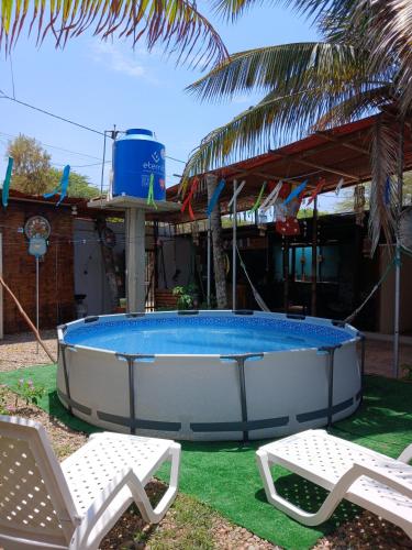 a large pool with two chairs and a palm tree at Arrullos del Mar in Zorritos