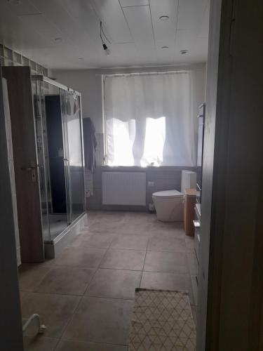 a bathroom with a shower and a toilet and a window at 1 Chambre d hôtes dans un écrin de verdure in Dambach