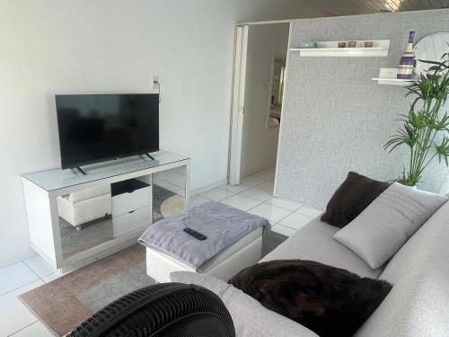 a living room with a couch and a flat screen tv at Anitápolis central -apartamento com jardim in Annitapolis