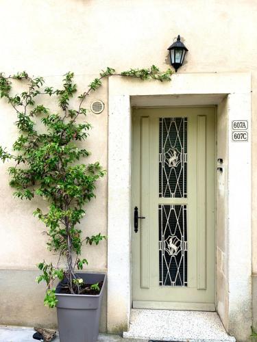 a green door with a potted tree in front of it at Cocon en Provence à Ménerbes in Ménerbes
