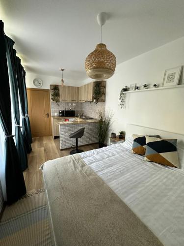 a bedroom with a large bed and a kitchen at Zen Studio - Edge of Old Town with Free Private Parking in Braşov