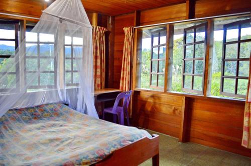 a bedroom with a bed with a canopy and windows at Labang Guesthouse Bario in Bario