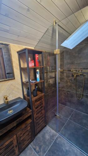a bathroom with a shower and a sink at Apartmány U GUNÁRA Vyhne - Apartmán Akácia in Vyhne