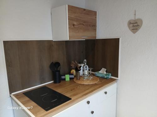 a kitchen counter with a sink and a stove at Green Oasis Stylish Garden Studio Workspace in Linz