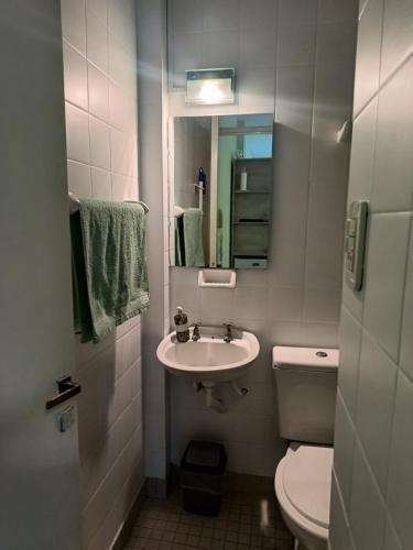 a bathroom with a sink and a toilet and a mirror at Monoambiente en pleno centro de Adrogué in Adrogué