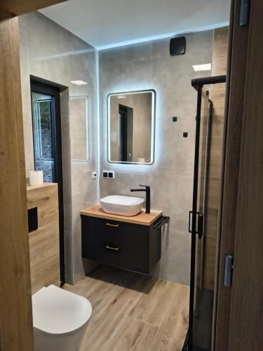a bathroom with a sink and a toilet and a mirror at Domki nad jeziorem in Dobczyce