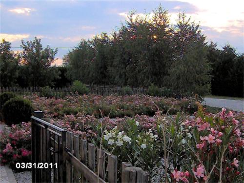 Zahrada ubytování Agriturismo Il Magicorto