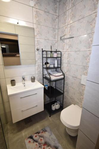 a bathroom with a sink and a toilet and a mirror at apartmaji LEJARDIN in Škofljica