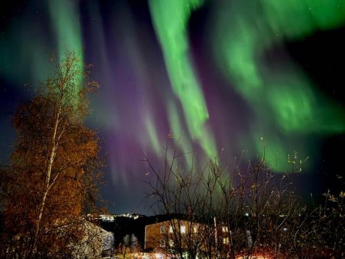 an image of the northern lights in the sky at Aurora views from 2 br apartment by lake in Yellowknife