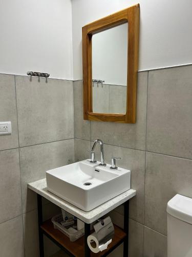 a bathroom with a white sink and a mirror at Luminosa Patagónia in Lago Puelo
