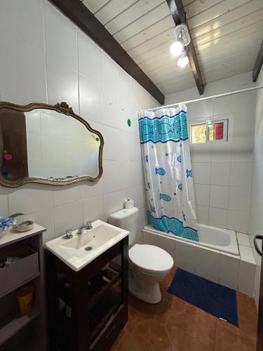 a bathroom with a sink and a toilet and a shower curtain at Casa 3 habitaciones in Tigre