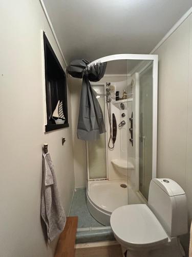 a small bathroom with a shower and a toilet at Old farm house & sauna in Stunes