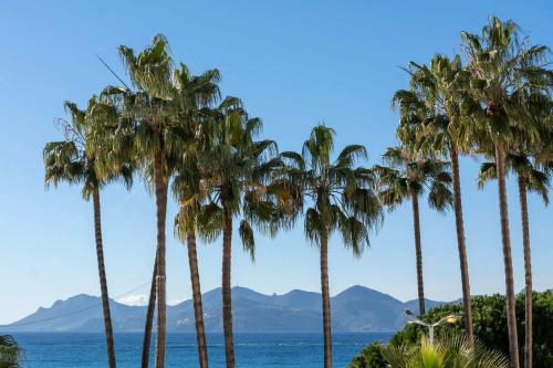 The Plage Croisette - Accommodation Terrace & Sea