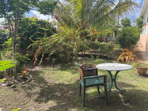 גינה חיצונית ב-Casamango