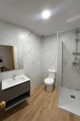 a bathroom with a toilet and a sink and a shower at Hostal Casa Amalia in Teruel