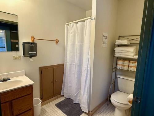 a bathroom with a white shower curtain and a toilet at Cedar Cove Cabin 5 in Butternut