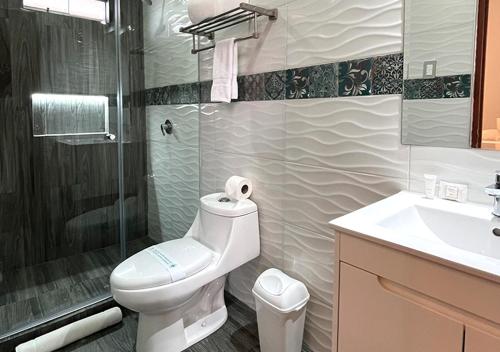 a bathroom with a toilet and a sink and a shower at Hotel La Villa Mollendo in Mollendo