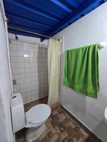 a bathroom with a toilet and a green shower curtain at La Posta de Don Calixto in León