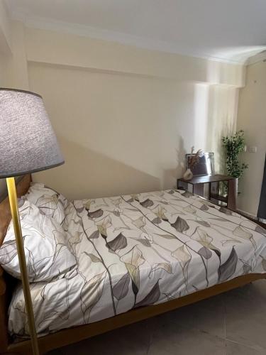 Cozy shared apartment