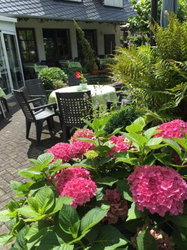 Zahrada ubytování Hotel Springiersbacher-Hof