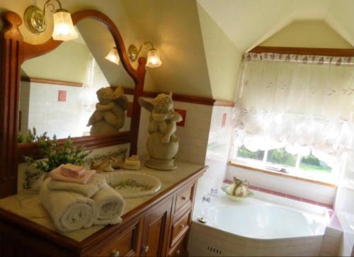 a bathroom with a sink and a mirror at Hawk's Nest Bed & Breakfast in Bathurst