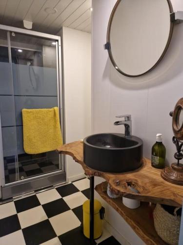 a bathroom with a sink and a mirror at Le gîte d'alfred in Prades