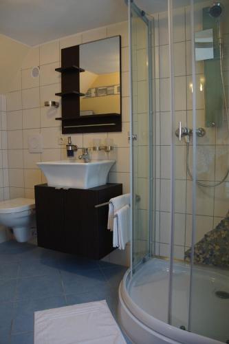 a bathroom with a shower and a sink and a toilet at Schusters Lindenhof in Bautzen