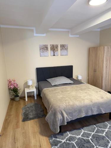 a bedroom with a large bed in a room at Gemütliches Appartement 5 - mit Küche und Bad zur Eigennutzung -Schuster Homes- in Vechelde