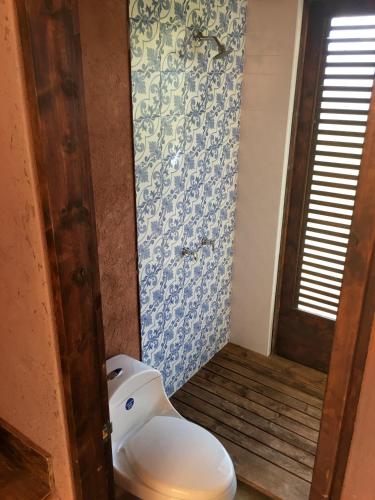 ein Bad mit einem weißen WC in einem Zimmer in der Unterkunft Portal de Iza in Iza