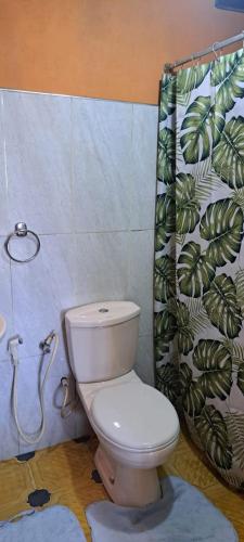 a bathroom with a toilet and a shower curtain at Redwood inn homestay in Nuwara Eliya