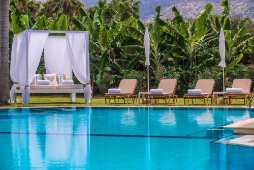 een zwembad met stoelen en een hemelbed bij Vergina Studios & Apartments in Malia