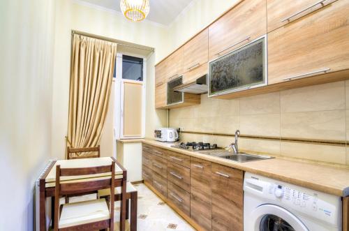 een keuken met een wastafel en een wasmachine bij Alfa Apartments Grygorenko in Lviv