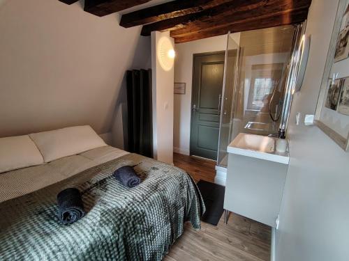 a bedroom with a bed and a shower and a sink at Appartement rénové centre Pont-Audemer-calme, Wi-Fi, proche Honfleur in Pont-Audemer