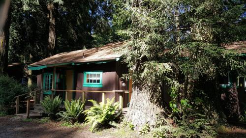 a small house with a tree in front of it at Emerald Forest Cabins in Trinidad