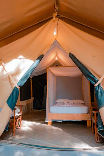 un letto in una tenda con due amache dentro di Paradise Lodge Turmi a Turmi