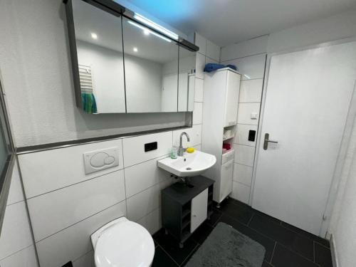 a bathroom with a sink and a toilet and a mirror at Ferienwohnung im Täle in Bad Überkingen