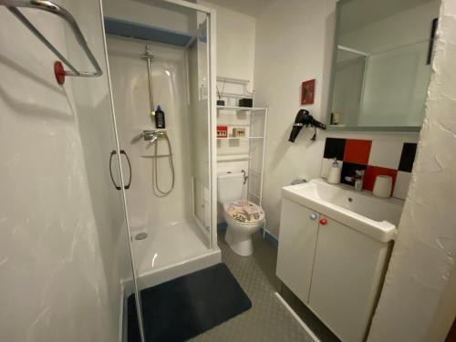 a bathroom with a shower and a toilet and a sink at Appart pour 4 à 6 pers Les résidences du lac Soustons plage Piscine proche golf océan in Soustons