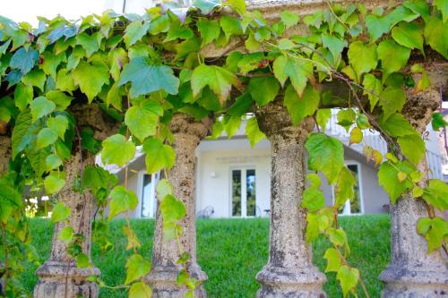 Zahrada ubytování White Lilac Romantic B&B - Adults only